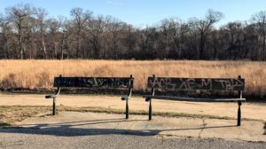 Kings Park Psychiatric Center Benches