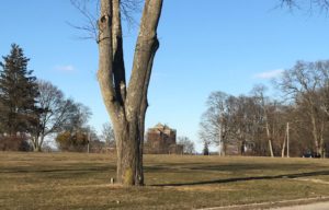 Kings Park Psychiatric Center