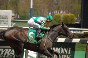 Belmont Park Racetrack