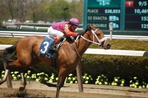 Belmont Park Racetrack