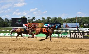 Belmont Park Racetrack