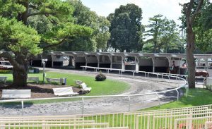 Belmont Park Racetrack