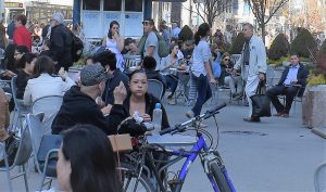 Real New Yorkers in Union Square Park