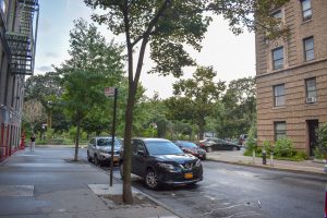 Mosholu Parkway Park