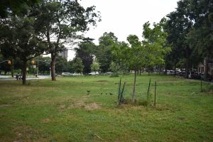 Mosholu Parkway