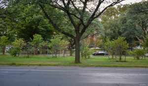 Mosholu Parkway