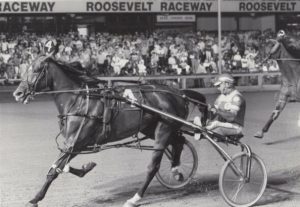 Roosevelt Raceway