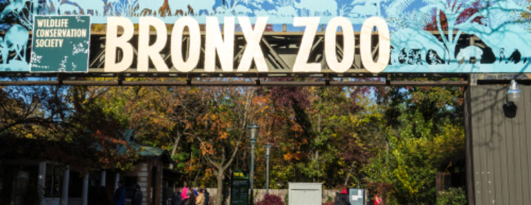 A Day At The Bronx Zoo