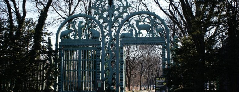 History Of The Bronx Zoo