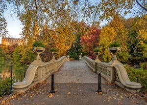 Bow Bridge in Central Park surrounded by colorful autumn foliage