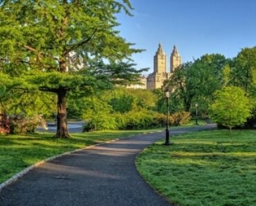 Famous Movies Filmed in Central Park and Where to Find the Scenes Today