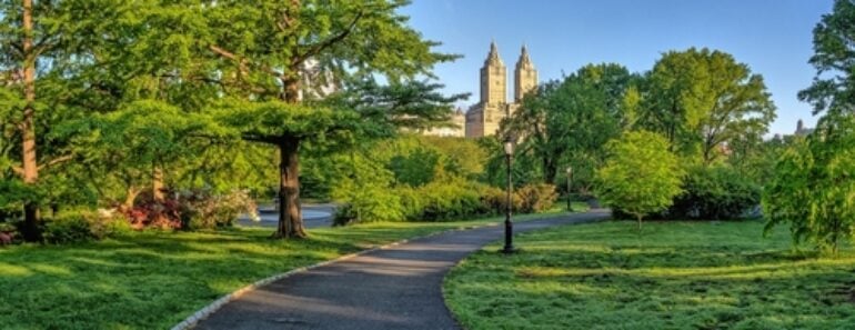 Famous Movies Filmed in Central Park and Where to Find the Scenes Today