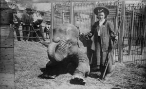 Hattie the elephant at the Central Park Zoo with trainer Hattie Snyder