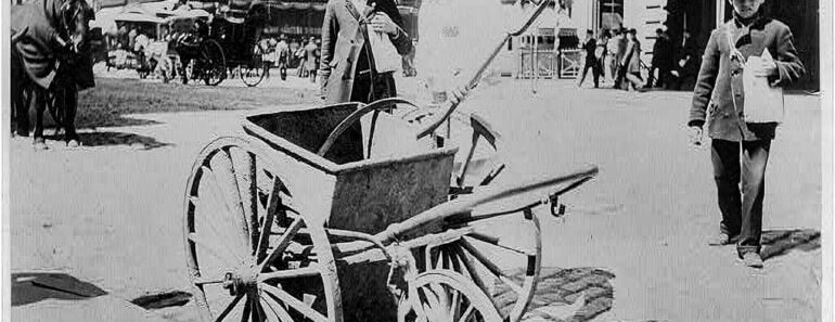 The White Wings: How Colonel George Waring Transformed New York City Sanitation