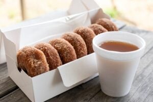 Half dozen cinnamon sugar apple cider donuts beside a cup of apple cider