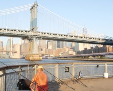Where to Go Fishing in NYC: Historic Urban Angling Spots & Regulations Where to Go Fishing in NYC: Historic Urban Angling Spots & Regulations