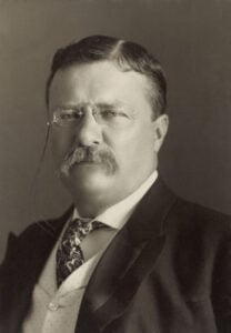 Formal portrait of President Theodore Roosevelt